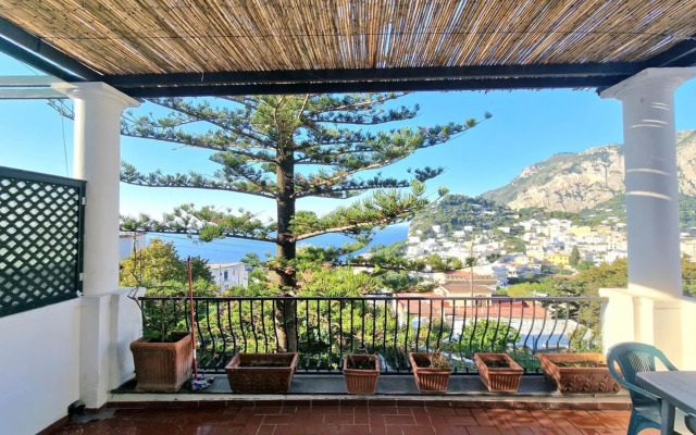 Casa Api
