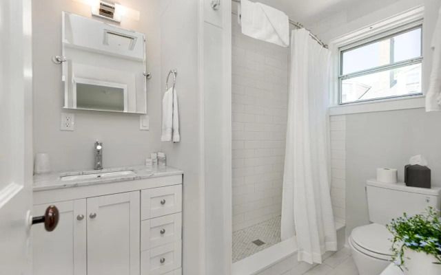 Nantucket Periwinkle