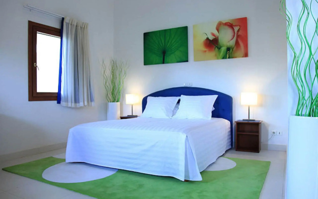 Les Amaryllis Saly