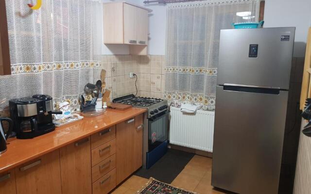 Casa de Vacanta Silvia