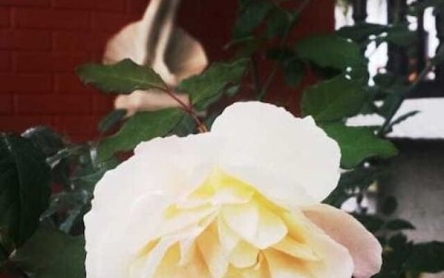 Grande Hotel Pozzobon