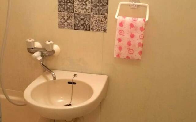 Shinjuku Shin Okubo house