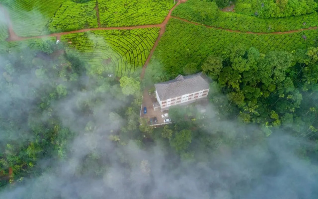 Tea Harvester Munnar