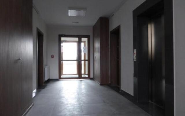 Zielone Studio