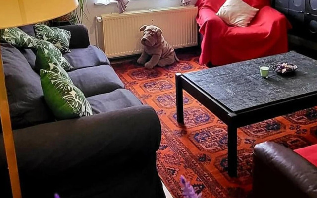 Bright Handy Studio Near Nato