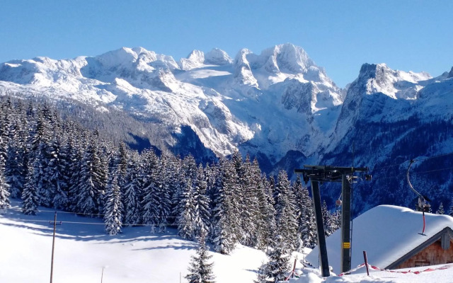 Apartment 14 Edelweiss Gosau