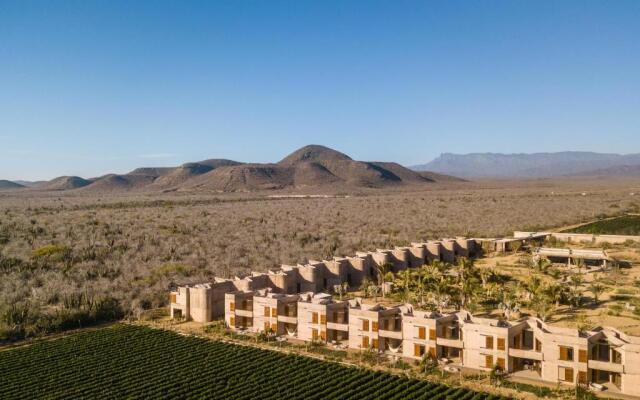 Paradero Todos Santos - Exclusive Experiences