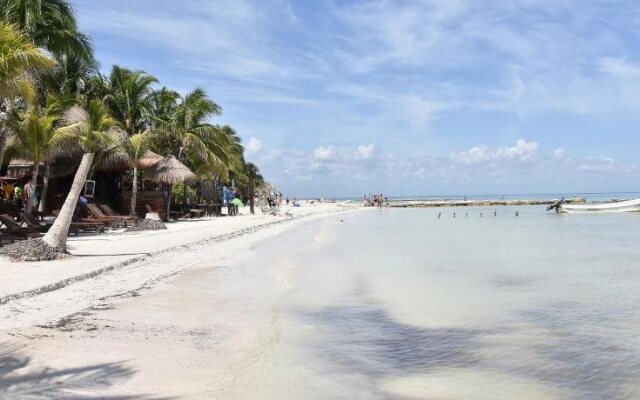 Moon Dreams Yum Balam