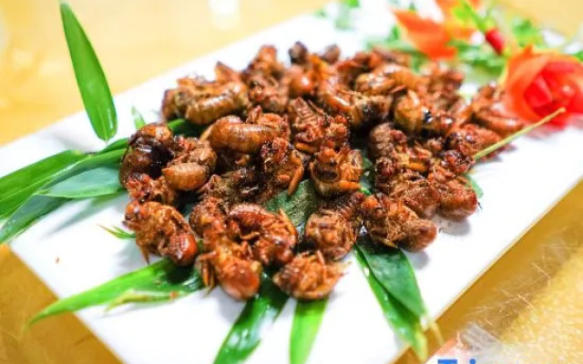 Zhuquan Village Scenic Area Hostel