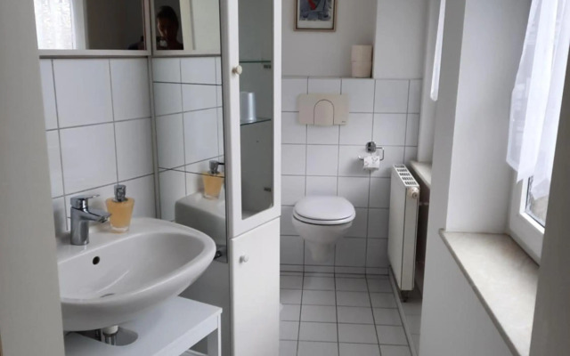 Kunstoase am blauen Haus