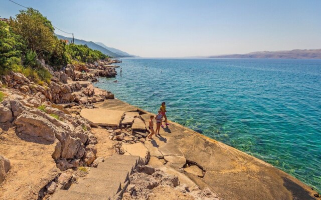 Delfin Cesarica in Cesarica