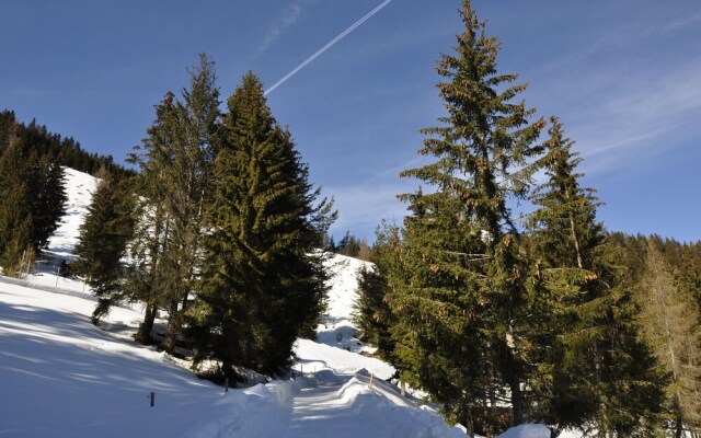 Puitalm Natur Apart Hotel