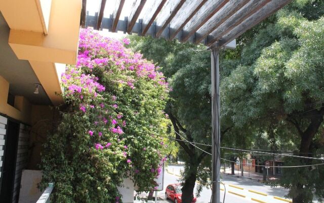 Sosahaus Hostel Mendoza