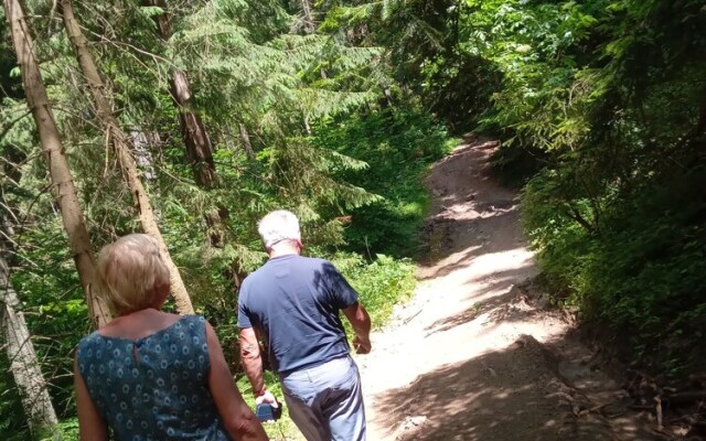 Room in Guest Room - Rural Holiday Transylvania