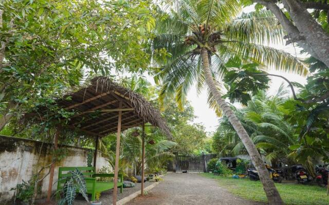 Ananas House