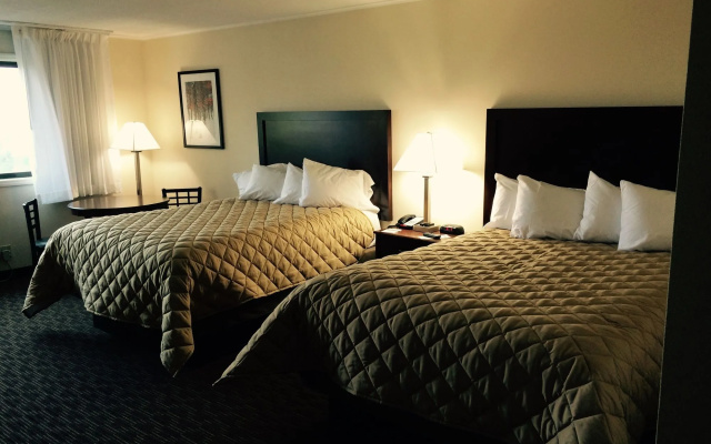 Chestnut Mountain Resort