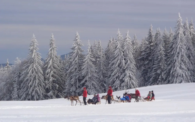 Chambres d'Hôtes La Petite Finlande