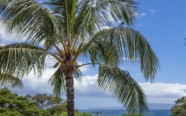Maui Vista by Coldwell Banker Island Vacations