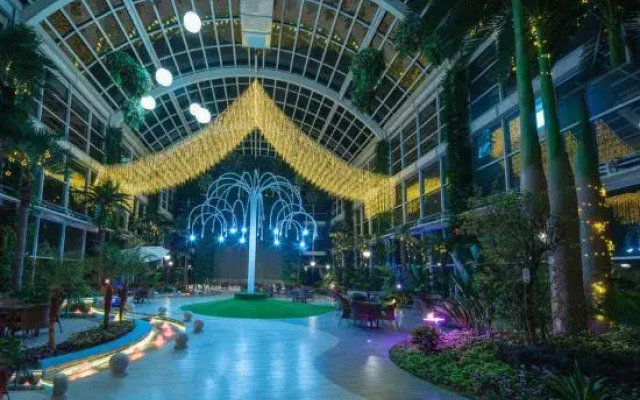 Qinjin International Hotel