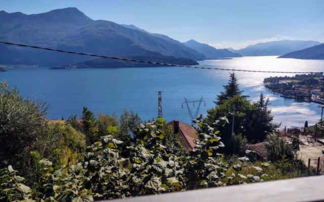 Rustico Simona (GRV255)