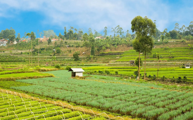 OYO Homes 90992 Eco Tourism Desa Panundaan Ciwidey Syariah