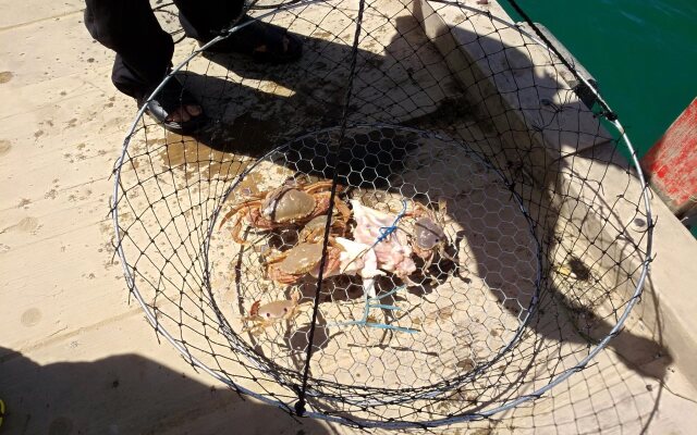 Abel Tasman Waterfront Motel