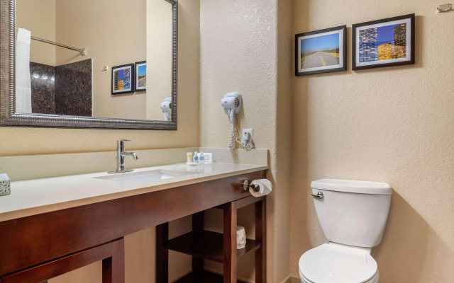Comfort Suites Baytown I - 10