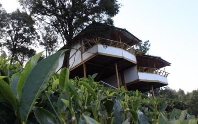 Vythirihills Nature Resort