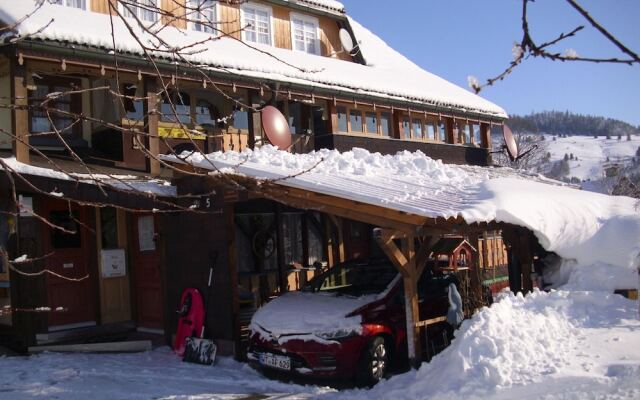 Apartment in Bernau Near the ski Area