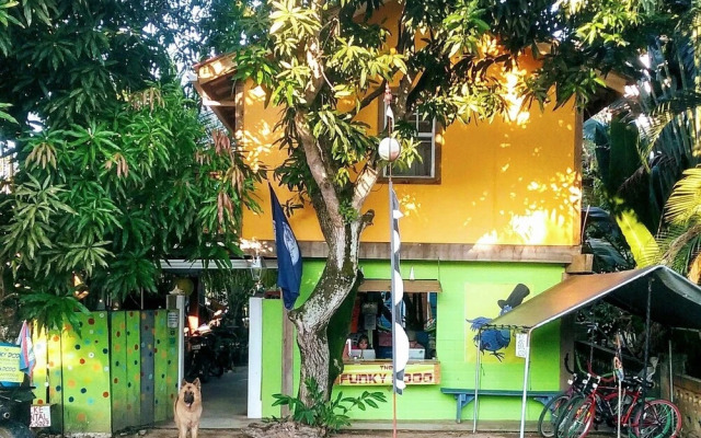 The Funky Dodo Backpackers