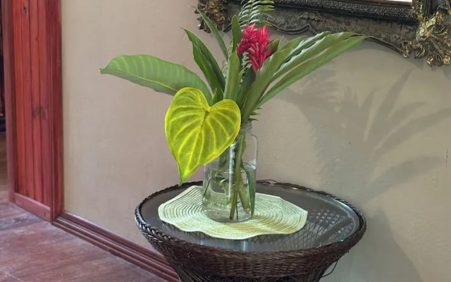 Svastha Yoga & Ayurveda Cafe