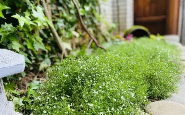 Yinghuige Boutique Inn