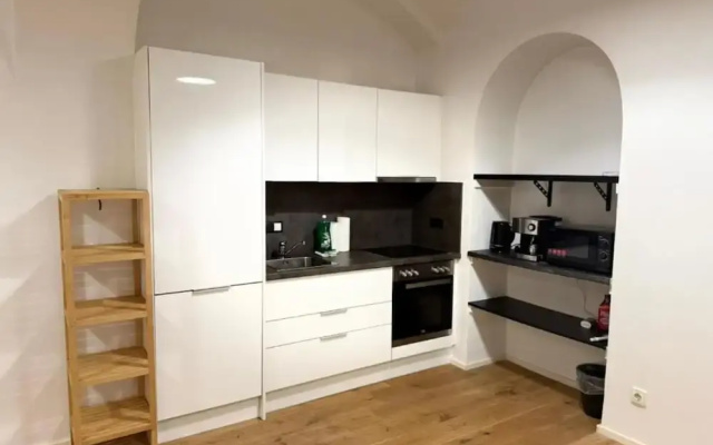 City Vienna Hirsch Apartment