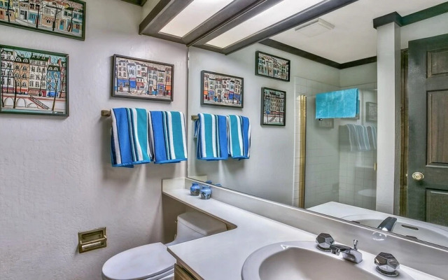 227 Squaw Valley Road Condo