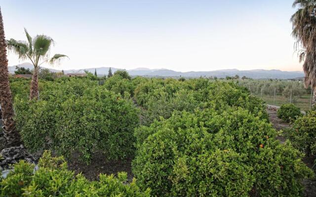 Casa Rural Típica Andaluza