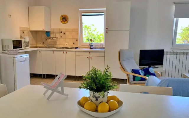 Apartments Pavi