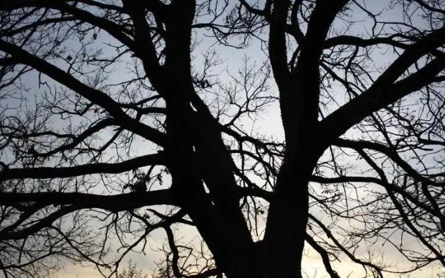 Grazioso Appartamento Indipendente