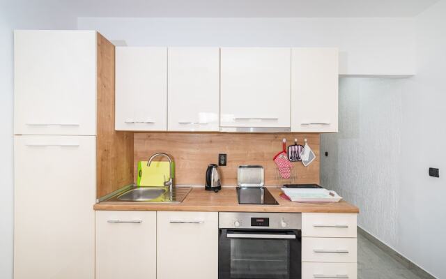 Cozy Apartment Branka With Nice Garden 5