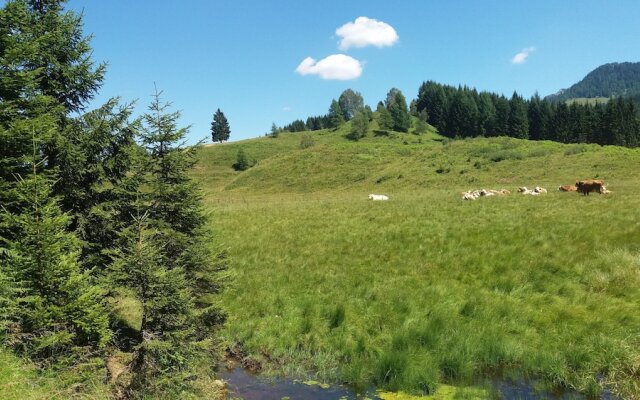 Chalets Zöhrer - Wohnen am Wasser