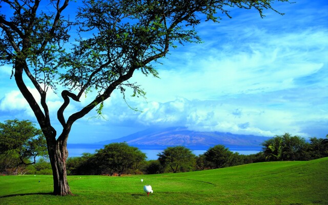 Four Seasons Resort Maui at Wailea