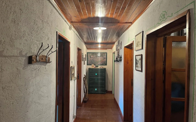 Baita Immersa Nel Verde