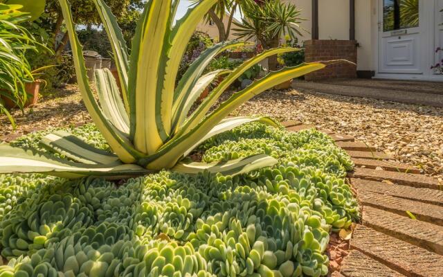 Beau Vallon Holiday Apartments