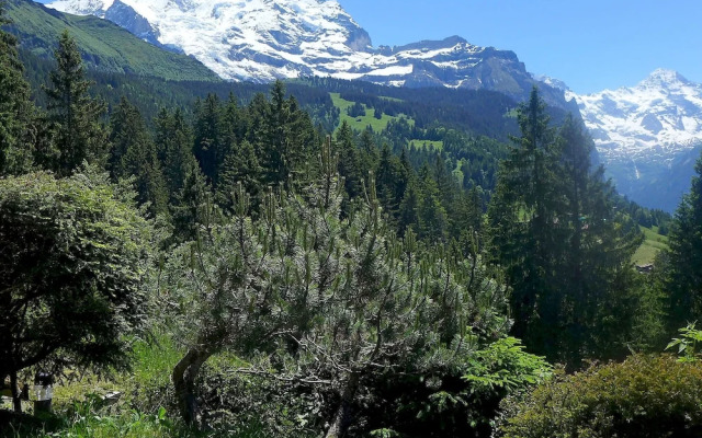 Zw Rgli Lauterbrunnen