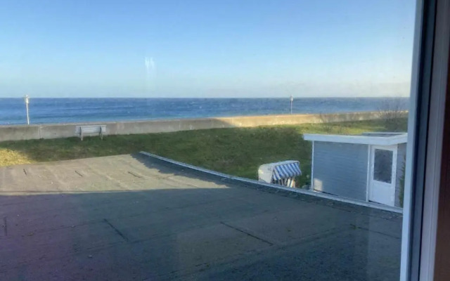 Hagelstein-III-Herzmuschel