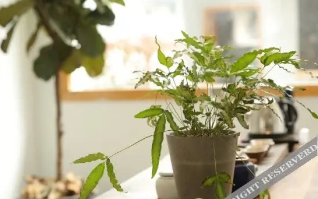 The Nine Boutique Hostel