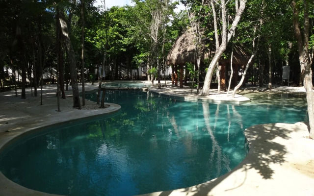 Tropical Paradise Apartment