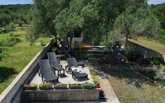 House Ana