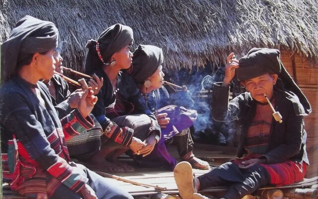 Harry'S Trekking House & Adventure Tours