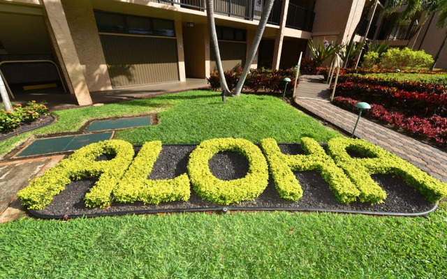 Papakea L108 - 1 Br Condo