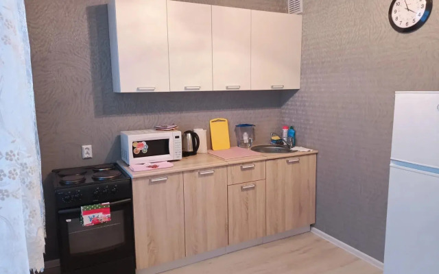 Apartment on Alexander Pushkin Street 1